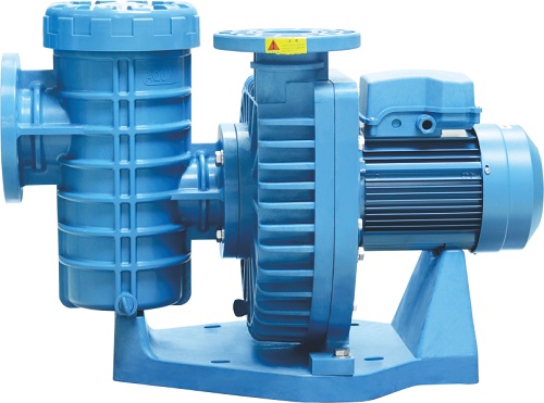 愛克泳池循環(huán)水泵ALK系列 愛克泳池循環(huán)水泵ALK系列