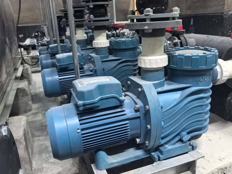 愛(ài)克泳池水泵