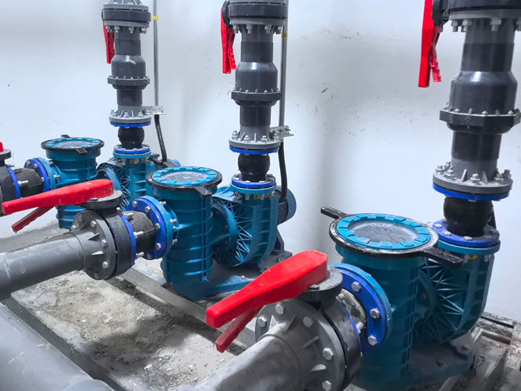 泳池循環(huán)水泵